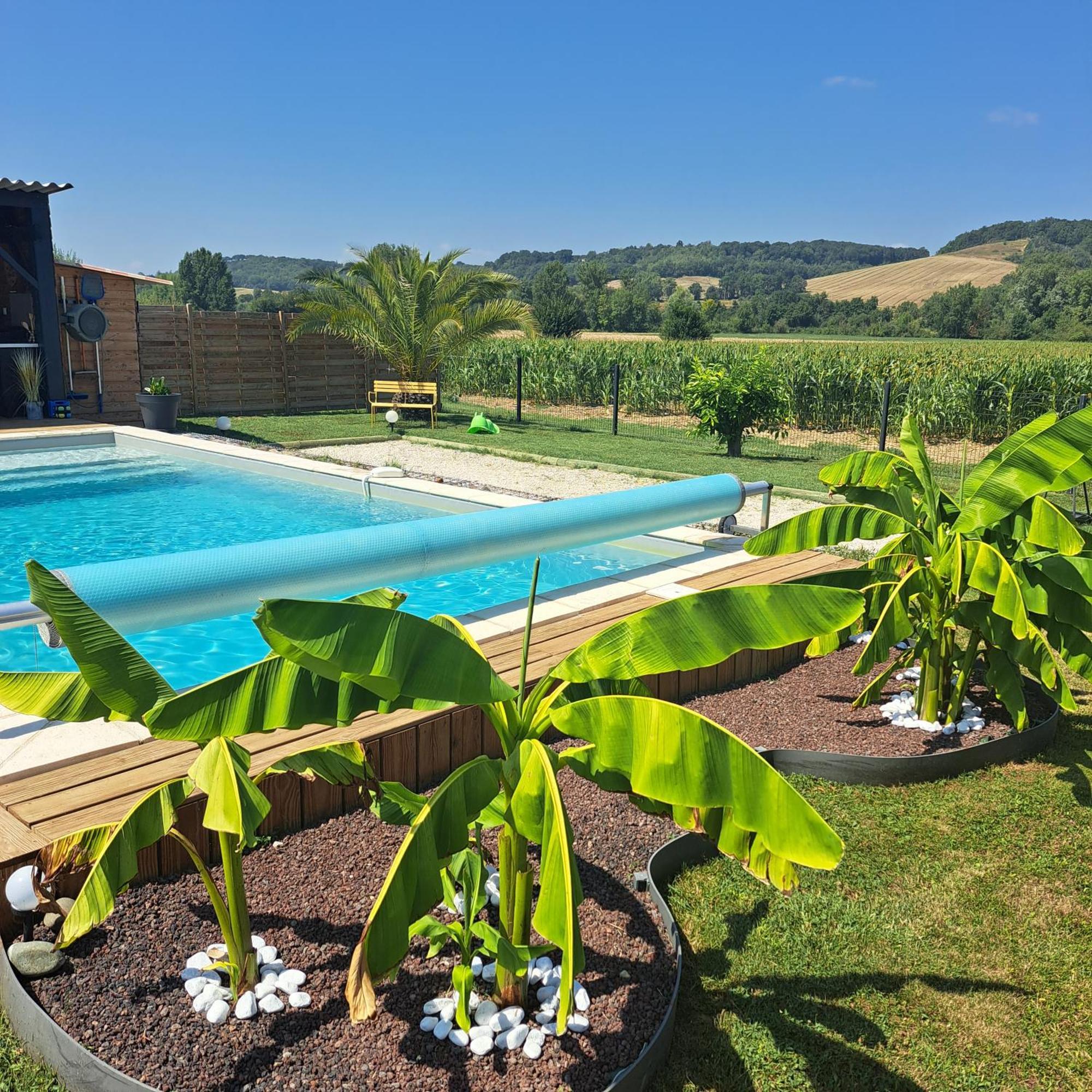 Le Domaine Vesque Villa Saint-Pierre-de-Clairac Dış mekan fotoğraf