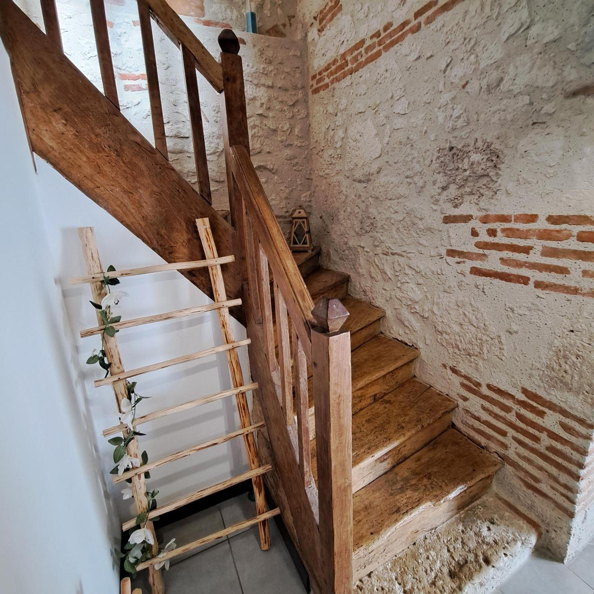Le Domaine Vesque Villa Saint-Pierre-de-Clairac Dış mekan fotoğraf